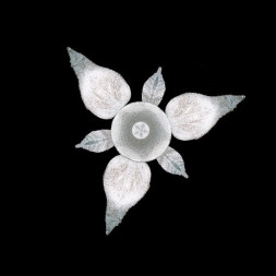 Потолочная люстра La Murrina Fenice R/3 QD-3S