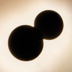 Настенный светильник Vibia Puck 5464 14