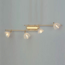 Бра Orion Leuchten STR 10-348/4 gold-matt/438 klar-matt