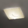 Настенно-потолочный светильник Morosini In&Out PL60 FL 0600PP06AVFL