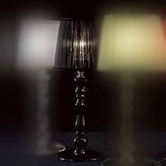 Настольный светильник Italamp 8006/LP Black / C