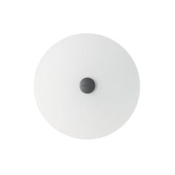 Настенный светильник Foscarini Orbital 0430053