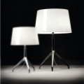 Настольная лампа Foscarini Lumiere XXL + XXS 191S001 11