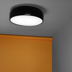 Потолочный светильник Flos Smithfield C HDG Black F1362030