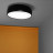 Потолочный светильник Flos Smithfield C HDG Black F1362030