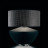 Настольная лампа Barovier&amp;Toso Ikebana 6920/NS/QN