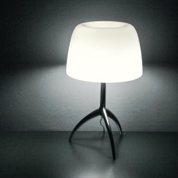 Настольная лампа Foscarini Lumiere 026011R2 11