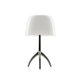 Настольная лампа Foscarini Lumiere 026011R2 11